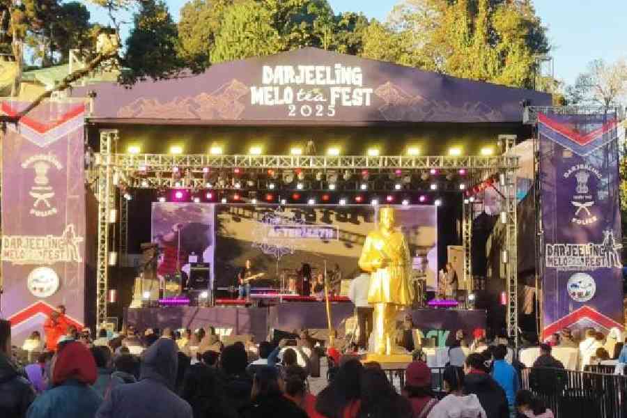 The rock band competition in progress at the MELOtea FESTin Darjeeling on Friday