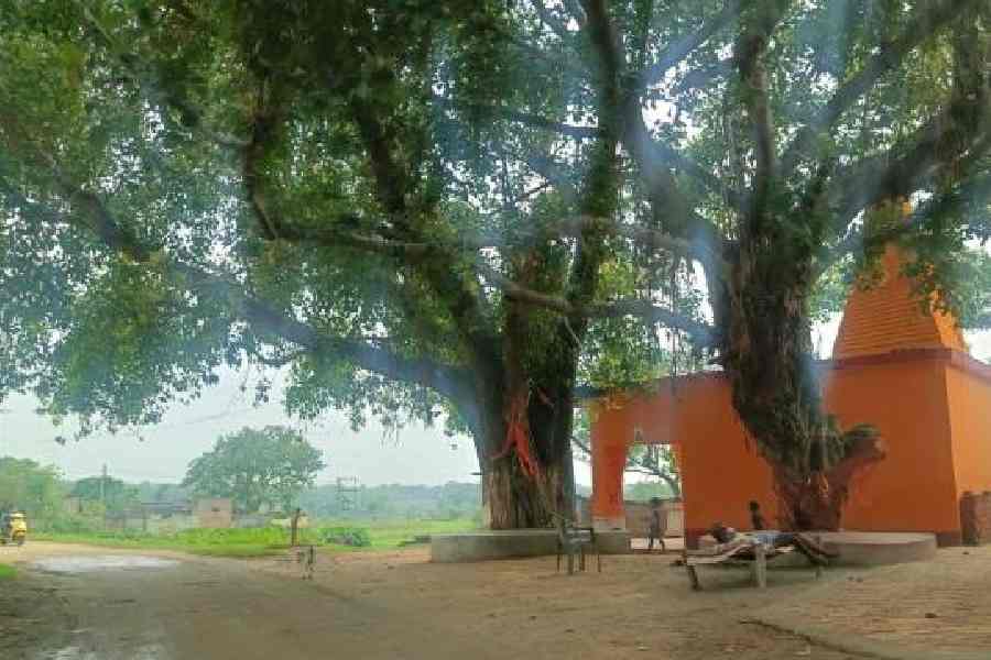 Branching out: A remote village in Jamtara district in Jharkhand, which was one of the hideouts of OTP mafia gangs. Infamously known as the ‘phishing capital of India’, Jamtara had grabbed headlines for the proliferation of gangs specialising in cyber fraud. A similar crime trend is being witnessed in the Devseras village in Mathura now. 
