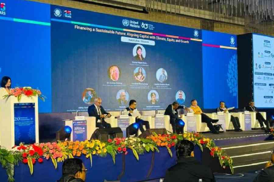 Delegates at the annual convention of the UN Global Compact Network India in New Town last week