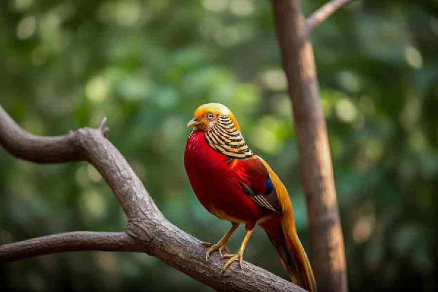 istock.com/tariq sulemani