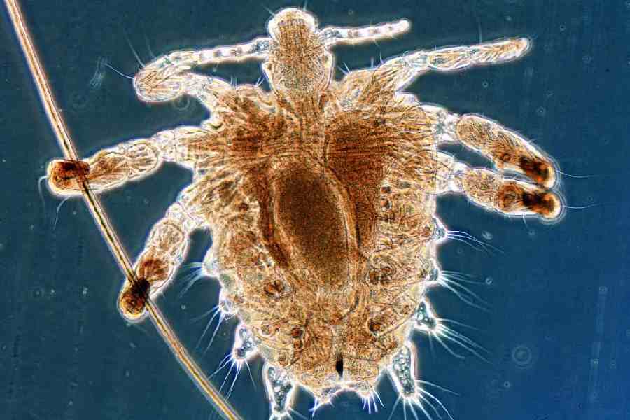 Representational image