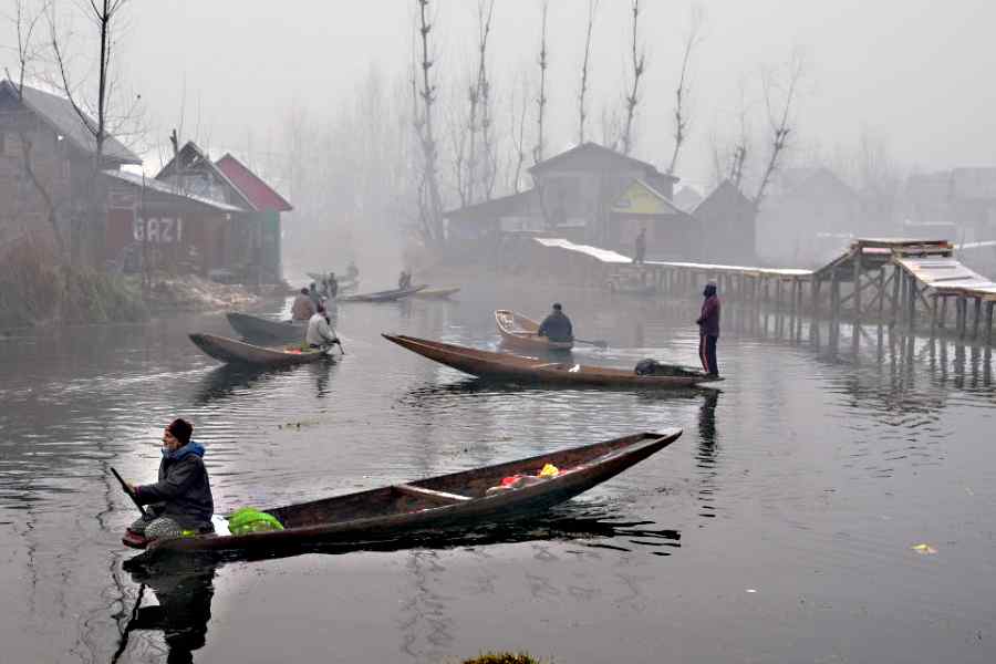 Vegetable sellers row their boats during a cold morning, at Dal lake in Srinagar