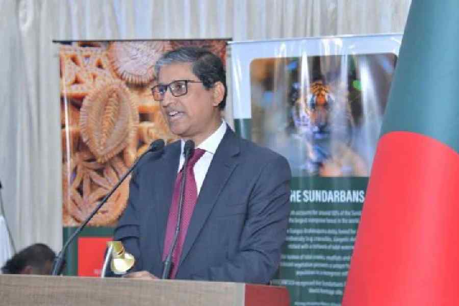 Bangladesh High Commissioner M Riaz Hamidullah.