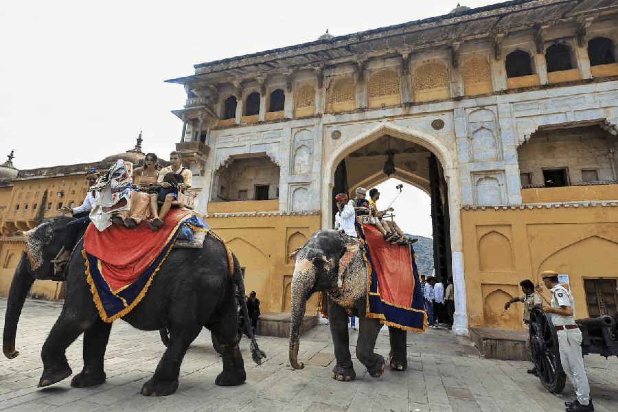 Tourists seem to enjoy elephant ride on World Elephant Day, at Amer Fort in Jaipur, Tuesday, Aug. 12, 2025.