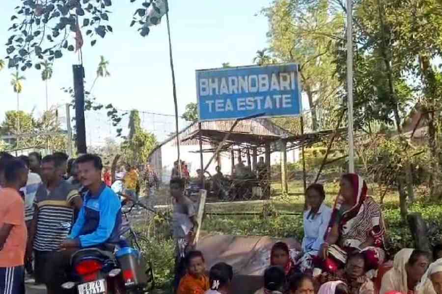 Labourers in the Bharnobari tea garden in Alipurduar district on Wednesday, after the work was suspended.