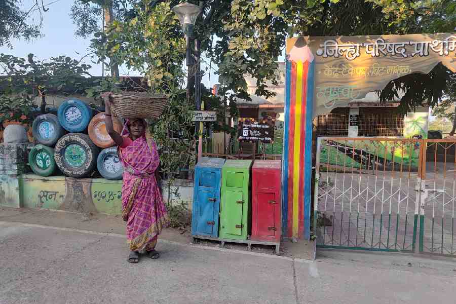 A clean lane and coloured bins of Satara village in Maharashtra