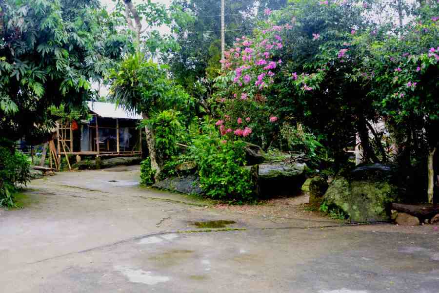 In Mawlynnong, every household participates in waste management, bamboo dustbins line the pathways, organic waste is composted, and plastic use is minimal. 