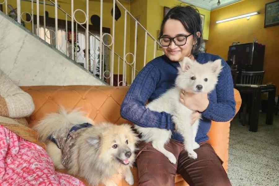 Aratrika Chakraborty holds Buddy and looks at Jimmy.