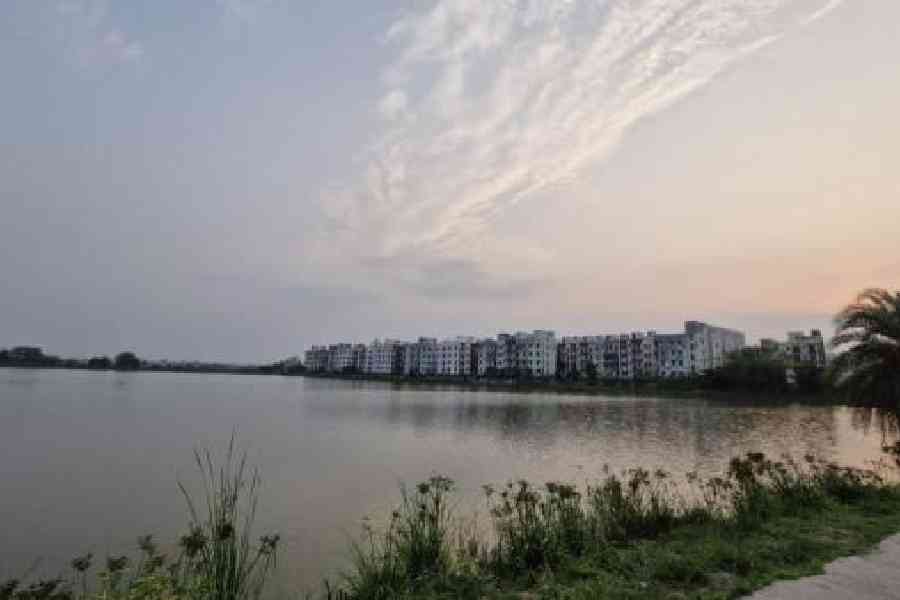 The East Kolkata Wetlands 