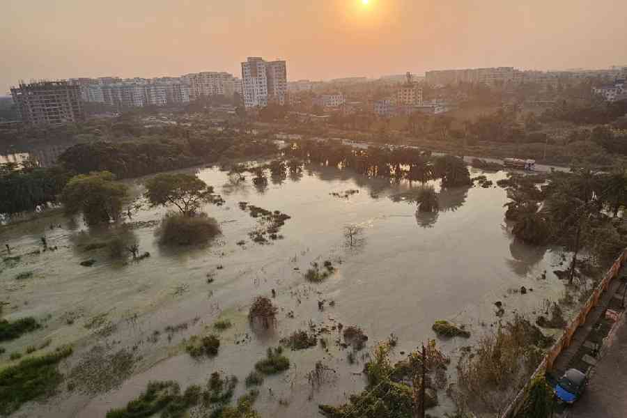 The sun sets over land filled with piling slurry in Action Area IID.