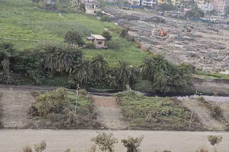 Piling waste being drained into an NKDA drainage canal flowing by the project site. The water colour changes from the dumping spot