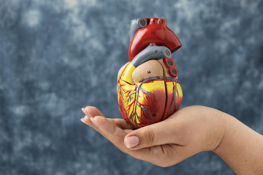 Representative Image