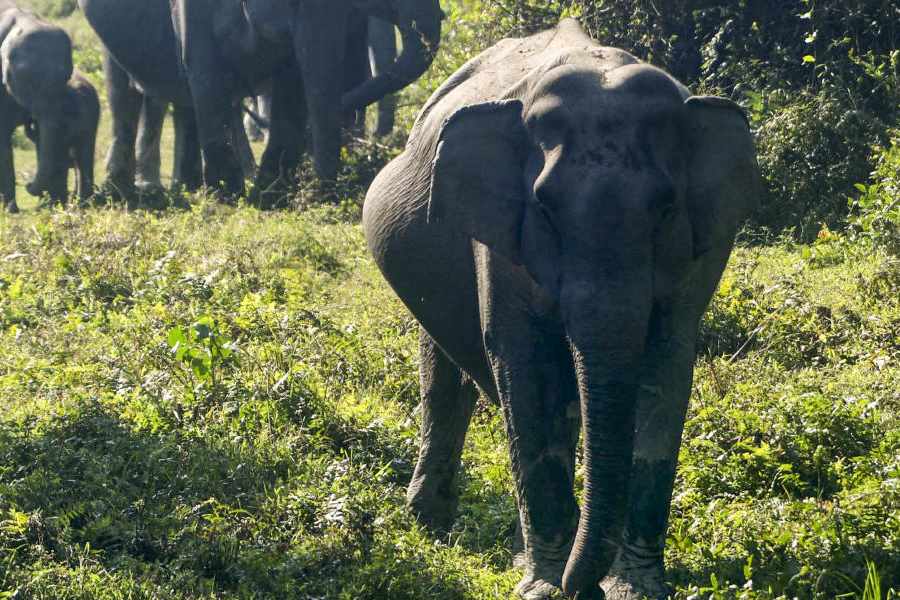 Representational image