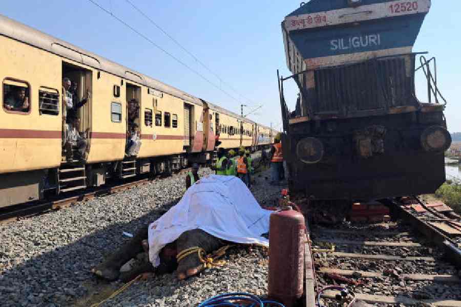 One of the dead elephants in a shroud in Hojai district, Assam, on Saturday.
