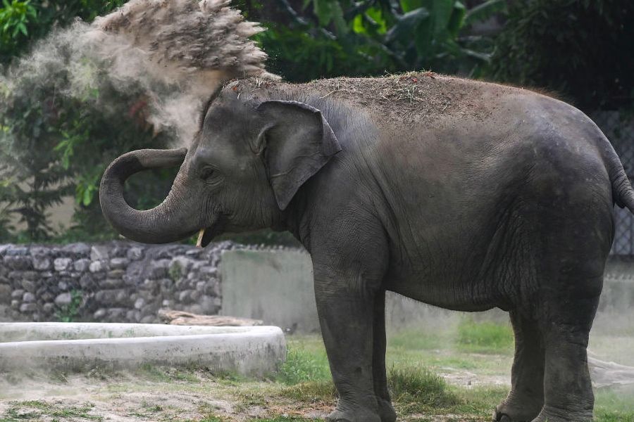 Representational image