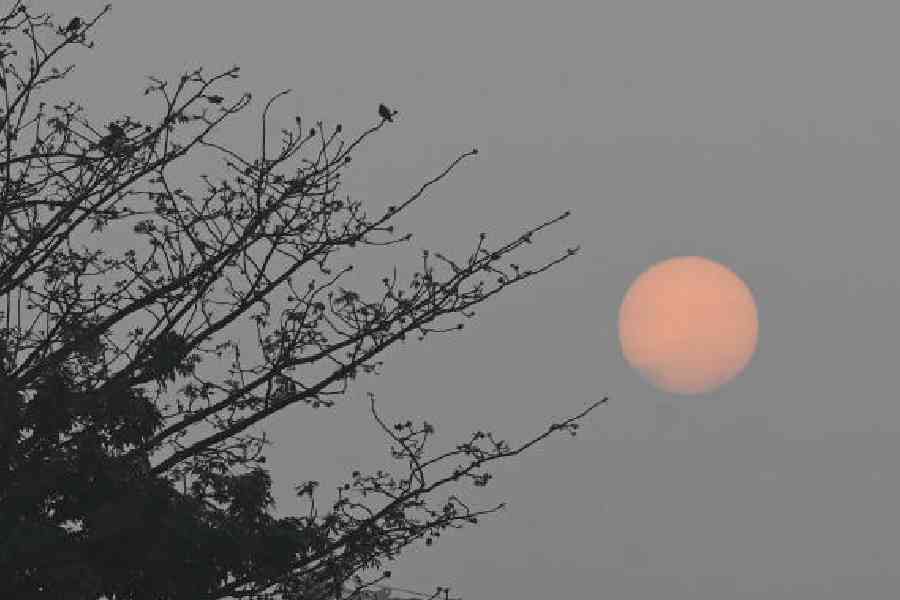 The sun appears pale on a fog-covered Sunday morning. Picture by Sanat Kr Sinha 