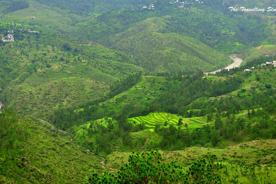 File: Forests and Valley of Uttarakhand India