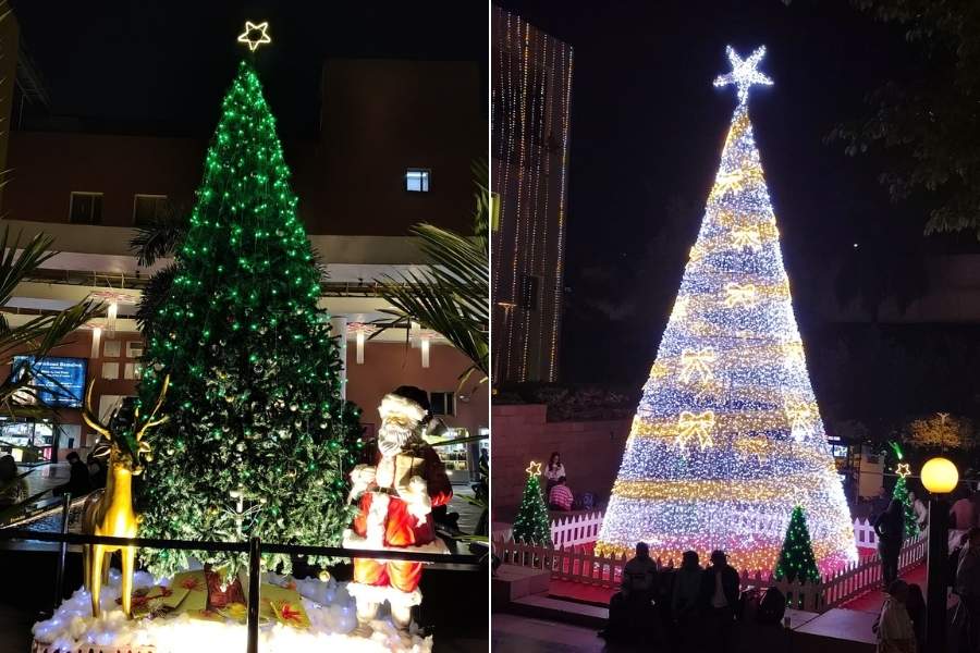 City Centre Mall in Salt Lake has not one but two trees, one flanked by Santa and Rudolph while the other is made with lights
