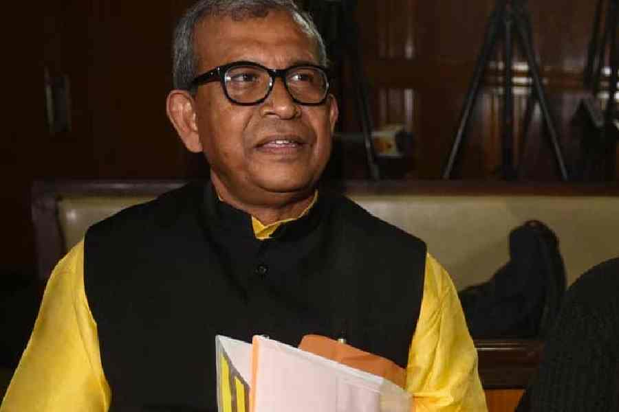 Bengal tigers wade through the water at the Sundarbans in November.