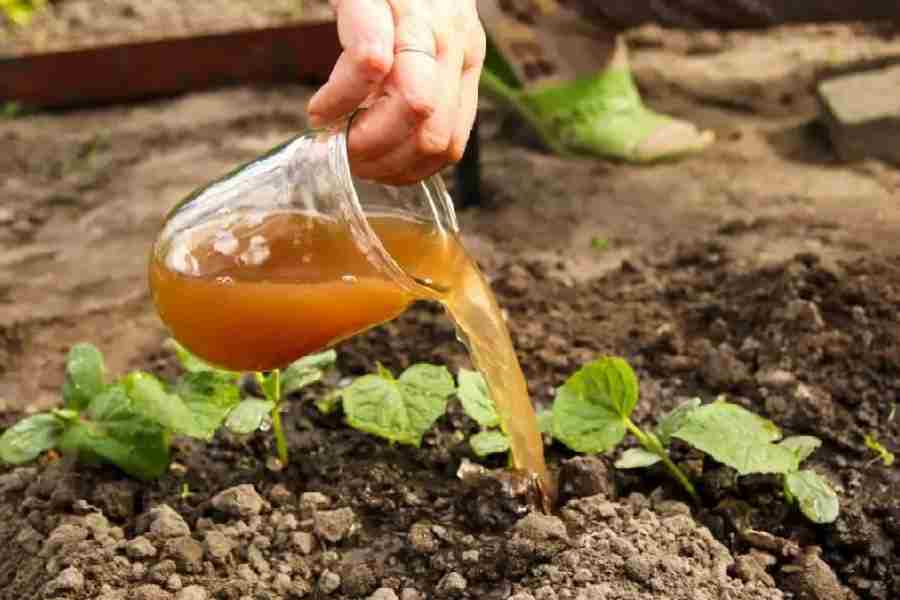 Representational image