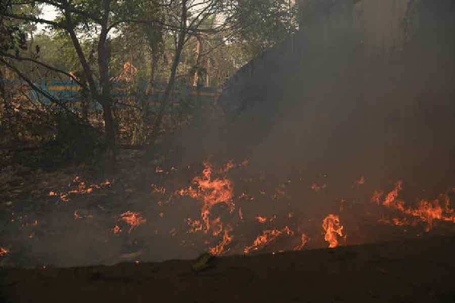 Open waste burning chokes Calcutta, toxic fumes pollute winter air quality at the same time