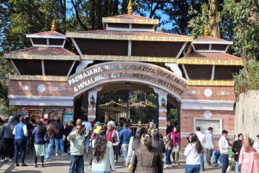 The entrance to the Padmaja Naidu Himalayan Zoological Park in Darjeeling. File picture