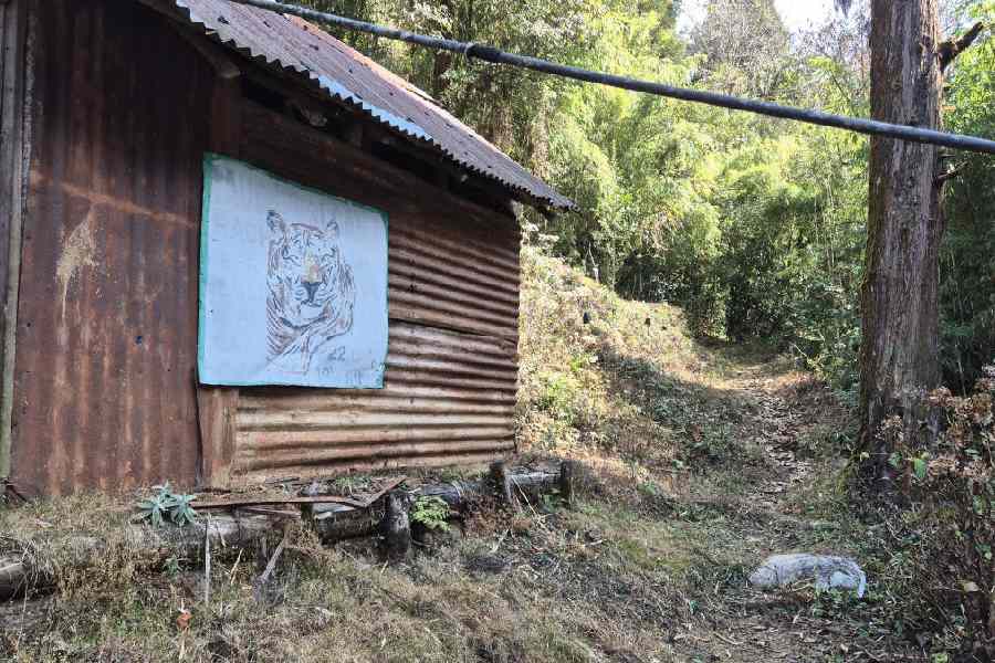 A file picture of a forest beat office at the Neora Valley National Park in Kalimpong 