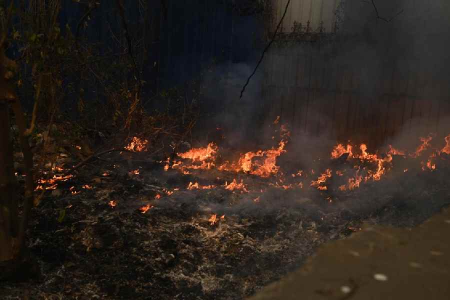 Garbage being burnt in Chowringhee on Thursday morning.