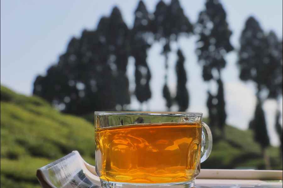 A cup of the famous Darjeeling tea.