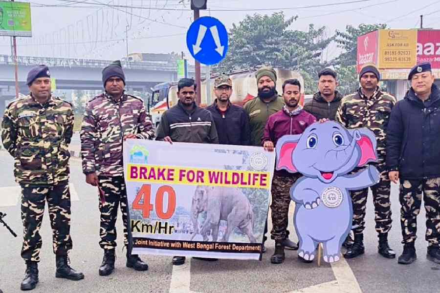 Members of the NGO Jumbotroops with foresters and troops of Sashastra Seema Bal at the ‘Brake for Wildlife’ campaign, aimed at preventing wildlife deaths on highways, near Ghoshpukur on NH31, on Saturday.