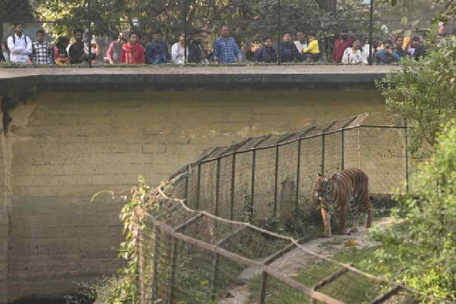 Alipore zoo