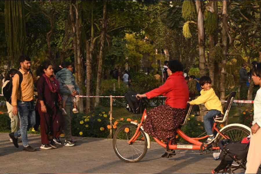 Visitors enjoy a day out at Eco Park on Sunday