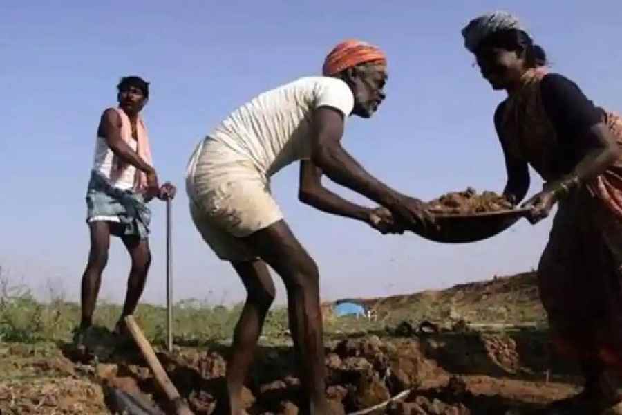 MGNREGA workers in Bihar