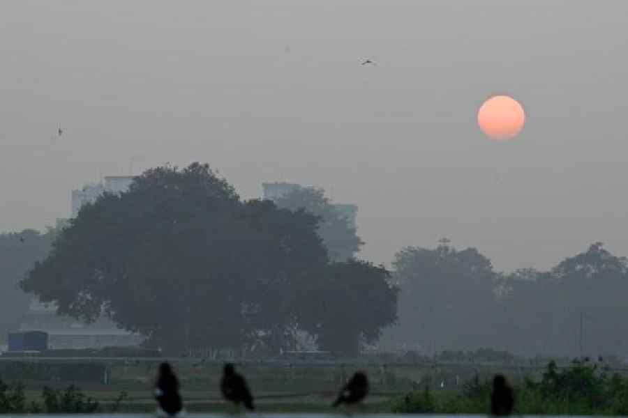 A foggy sunset over the Maidan on Tuesday. Picture by Sanat Kr Sinha