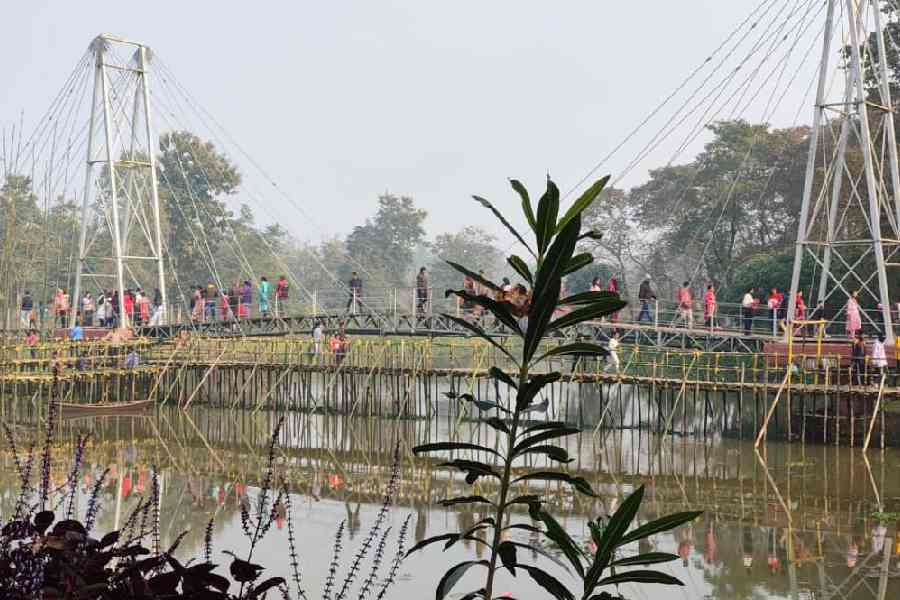 Visitors at the Rasikbil mini zoo in Cooch Behar. Picture by Main Uddin Chisti