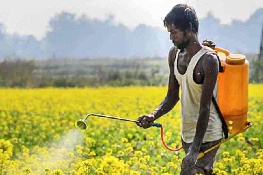 Representational image