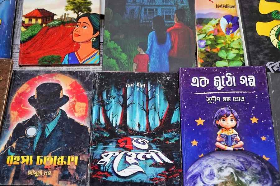 Thriller, science, horror and more —- a glimpse of the many books at the little magazine pavilion, where periodicals, books, journals, newsletters, and literature of other genres create a wide array to pick from