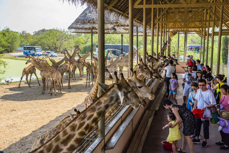 Inside Safari World