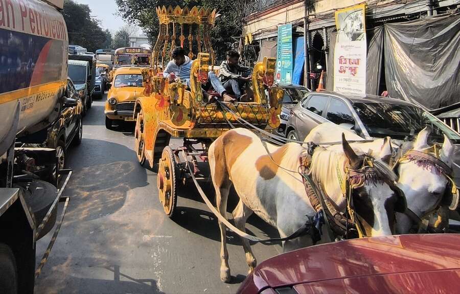 Processions and resultant traffic snarls around Esplanade gave a tough time to all and sundry on Thursday, even horses drawing a golden carriage