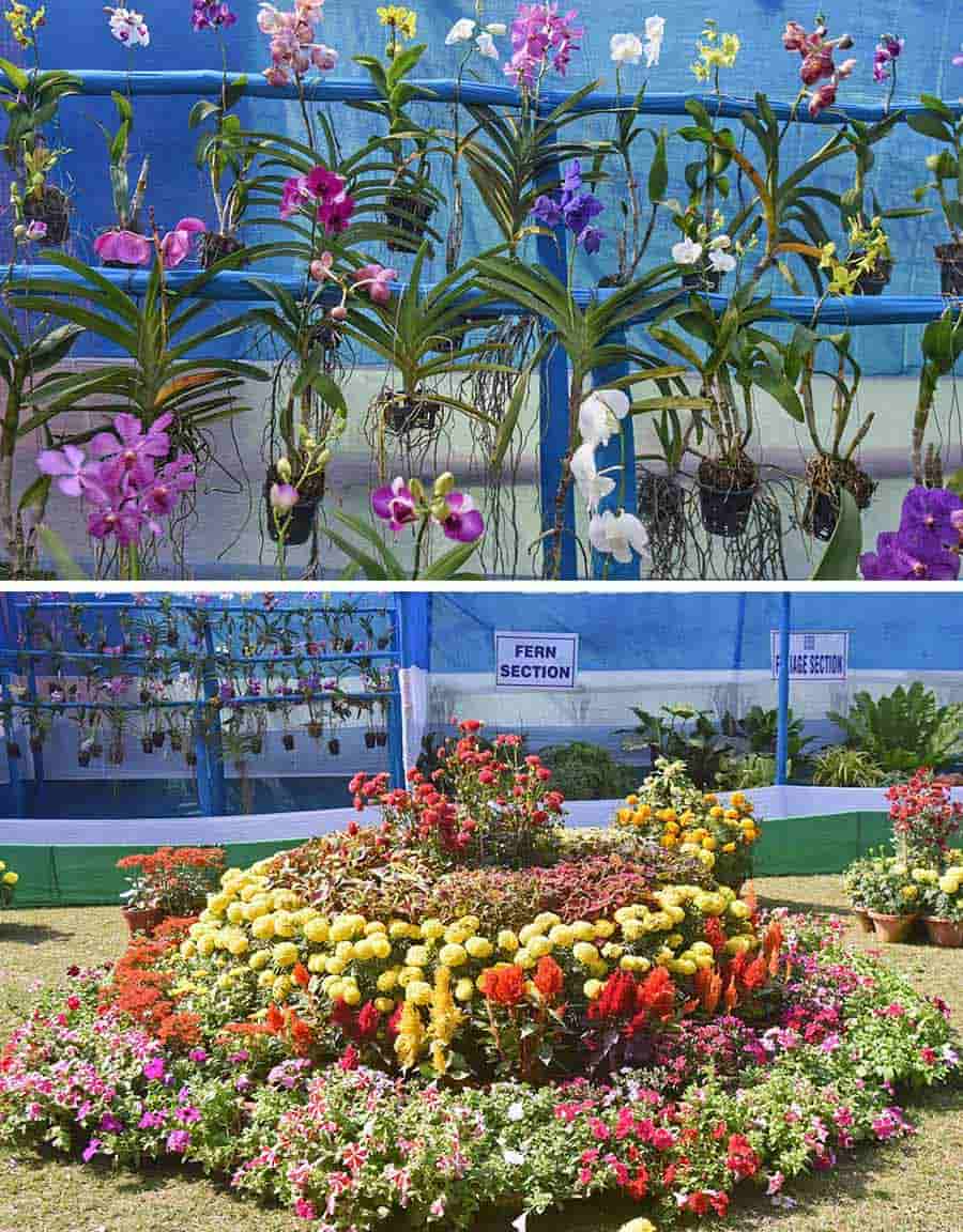 A glimpse of the Kolkata Municipal Corporation parks and squares department’s annual flower show at Mohar Kunja on Saturday. The four-day event ends on Sunday