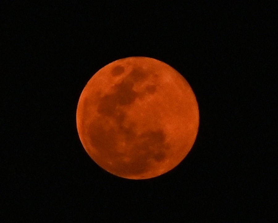 Kolkatans were treated to a ‘reddish’ moon on Maghi Purnima evening from their terraces on February 12  