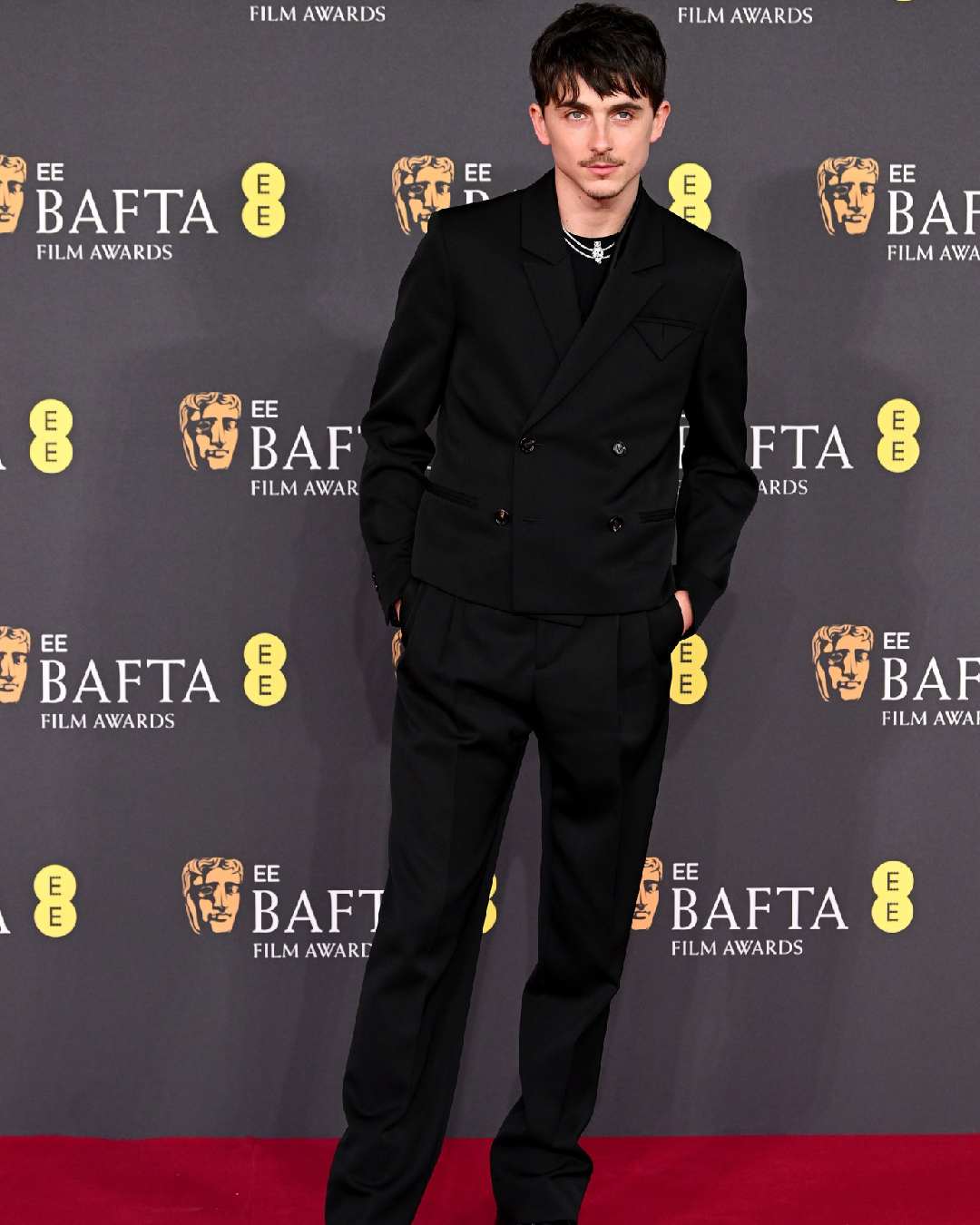 Timothee Chalamet walked the red carpet in a classic black Bottega Veneta suit with a black T-shirt underneath and black dress shoes.