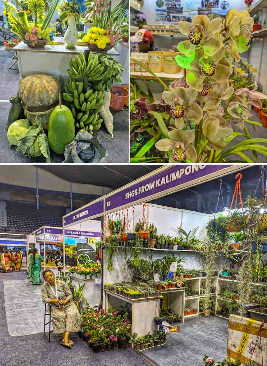 The state department of food processing industries and horticulture is organising ‘Horti - Food Festival’, an investors’ meet-cum-exhibition at Netaji Indoor Stadium between 12 noon and 8pm from February 20 to 22