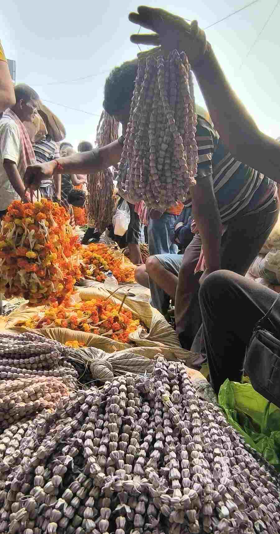 Akanda flowers, used for Shivratri puja, are on sale for Rs 250 to 300 per 20 garlands at Mullick Ghat flower market. Maha Shivratri will be observed on February 26