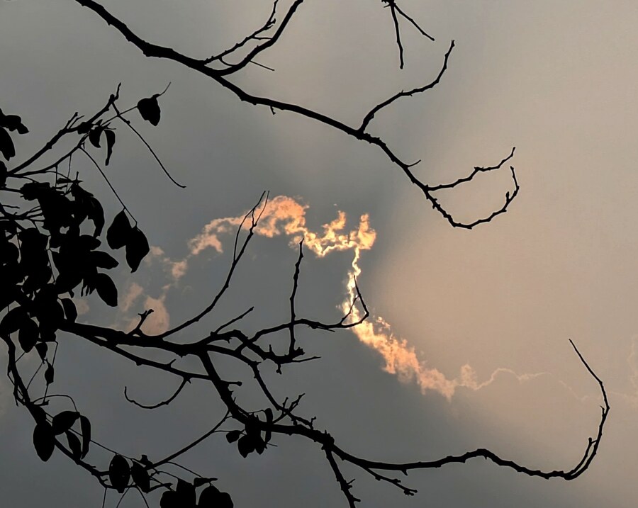The sun and the clouds play hide-and-seek in the Kolkata sky on Tuesday. The weather office predicts rain for several districts of West Bengal. However, Kolkata remains dry and cloudy