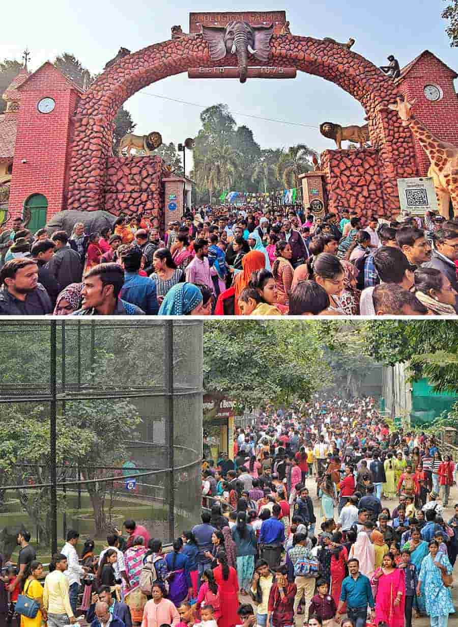 Kolkata photography in Victoria Memorial Hall Eco Park Alipore Zoo