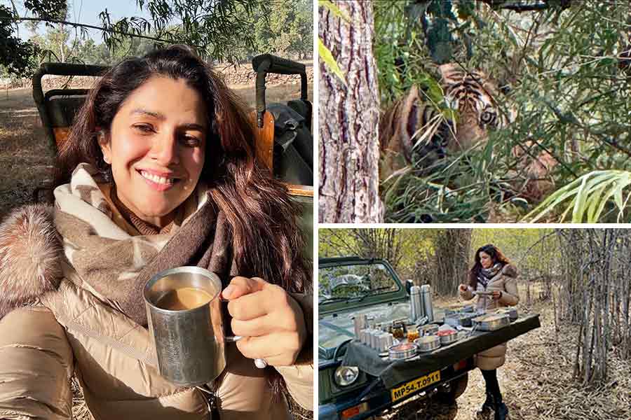 Actress Nimrat Kaur at Bandhavgarh National Park in Madhya Pradesh on New Year