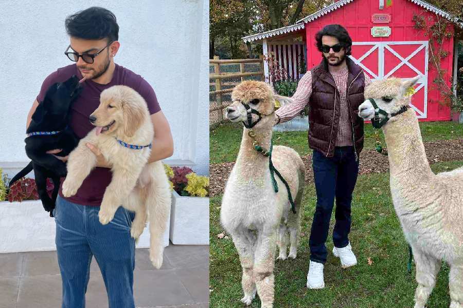 Veer Pahariya reportedly dated Sara Ali Khan, his Sky Force co-star, in the past.