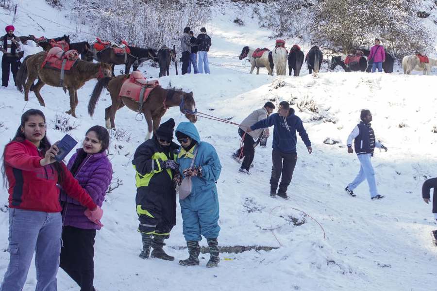 Cold Wave In North India 