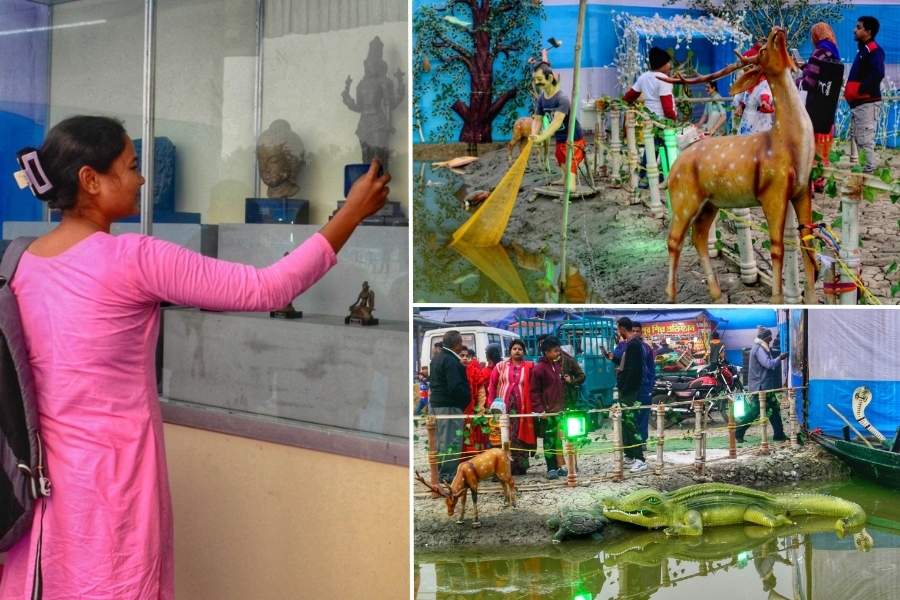 Exhibits and visitors at the 46th Annual Sundarban Mela being held near the Canning Matla river till January 12, Sunday. Various stalls from the Sunderbans are selling handicrafts, folk art. The Zoological Survey of India and Indian Museum have set up stalls too